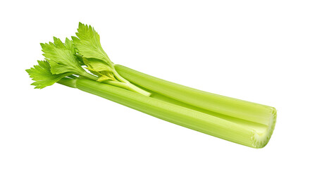 Fototapeta premium Green Celery Stalk with Leaves on Light Green Backdrop