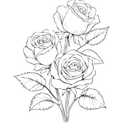 Rose Flower Sketch Illustration – Hand Drawn Vintage Floral Vector
