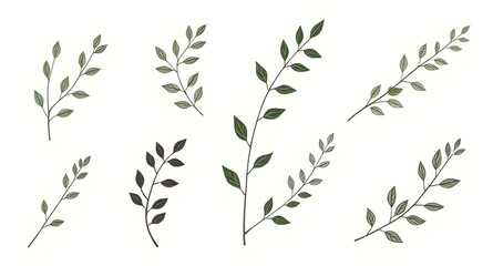 tropical plants vector, nature icons, abstract plants, floral decoration, eco design elements, forest plants silhouette, fern silhouette, flower silhouette, ornamental plants, vector flora, natural ba