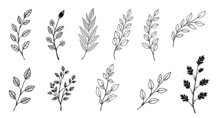 floral silhouette, garden plants vector, plant clipart, natural elements vector, minimalist plants, decorative plants, wild plants silhouette, meadow plants vector, herbs silhouette, bush silhouette, 