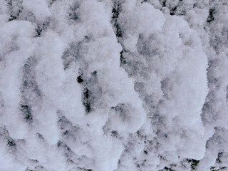 Natural Winter Background of Pure White Snow Texture