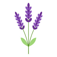 Obraz premium bouquet of blue flowers