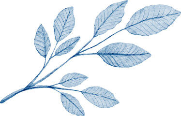 Blue Leaves Watercolor Illustration