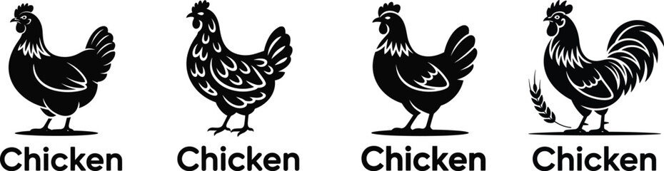 Chicken Silhouette Vector Set with Rooster Detail. Farm Poultry Illustrations in Minimalist Style.