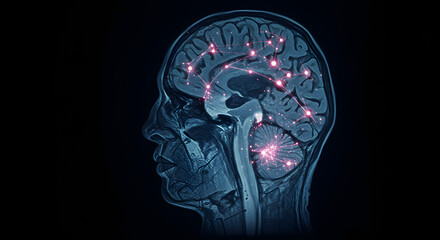 Human brain scan with glowing neural connections visualized on a dark background image illustration