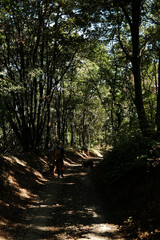 Man hiking with two dogs German and Australian Shepherd on a forest trail in Fruska Gora National Park. Travel and hiking with pets concept