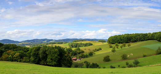 sunny day in the Odenwald