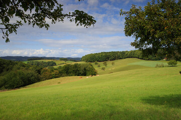 sunny day in the Odenwald