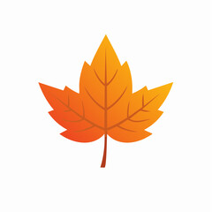 Fototapeta premium Decorative Fall Leaf Vector Illustration