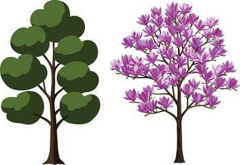 Obraz premium Tree illustration, foliage contrast, purple flowers, green leaves, seasonal diversity, botanical artwork, nature drawing, blooming tree, forest design, plant concept