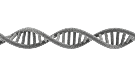 3D DNA Double Helix on Black Background