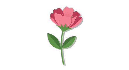 Fototapeta premium Stylized Pink Flower Illustration with Shadow Detail