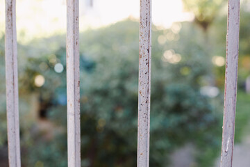 Fototapeta premium metal fence on a sunny day
