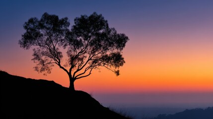 Silhouetted Tree on Hill at Sunset
