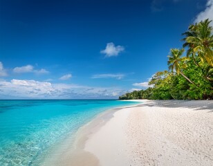 Fototapeta premium tropical island paradise beautiful landscape with white sand beach blue ocean and sky