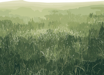 a dense grassy meadow fading into a soft, misty green background with layered tones creating depth.