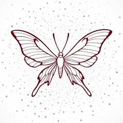 Elegant Butterfly Silhouette: Intricate linework defines the delicate form of a butterfly against a softly textured backdrop, the wings outstretched in a symbol of grace and freedom. 