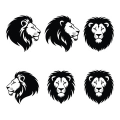 Majestic lion head portraits set different angles regal king animal symbolism silhouette © BIPUL