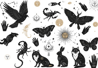 Mystical animals illustration, celestial symbols, esoteric design, magical creatures, black silhouette vector, astrology artwork, spiritual art, occult magic elements, cosmic design