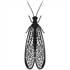 Detailed black silhouette of a lacewing insect with intricate veined wings and long antennae against a white background