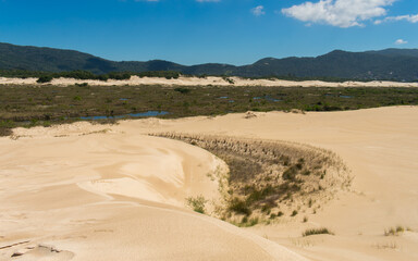 Parque Natural Municipal das Dunas da Lagoa da Conceição - Preservation area protecting the restinga forest and dunes in Florianopolis, Brazil