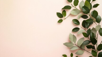 Elegant delicate green leaves on pastel background