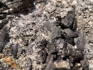 Close-up of wood ash and burnt charcoal after fire. Textured gray and black remains from combustion process. Concept of environment, energy, residue, fireplace, and natural material background.