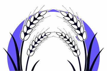 blue and white wheat