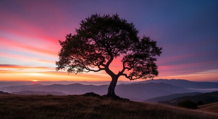 Majestic Silhouette Tree Against a Vibrant Sunset Sky with Rolling Hills