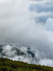 Misty mountain landscape with dense clouds enveloping the hills, creating a serene atmosphere and showcasing the beauty of nature's elements