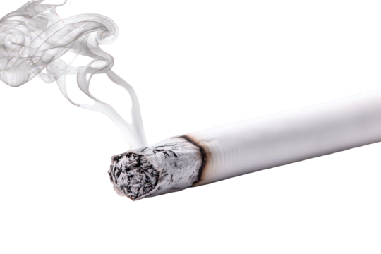 Close Up of Burning Cigarette with Smoke on Transparent Background - Powered by Adobe