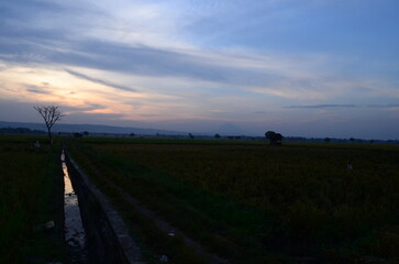 sunset over the countryside