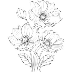 Lotus Flower Sketch Outline Illustration in Black and White – Hand Drawn Botanical Vector
