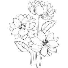 Lotus Flower Sketch Outline Illustration in Black and White – Hand Drawn Botanical Vector