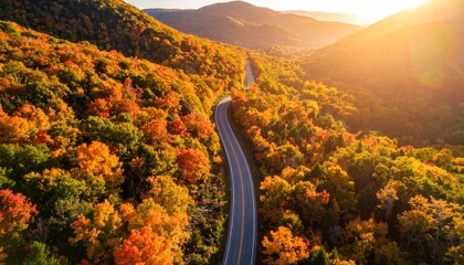 Winding road through autumn forest with scenic mountains, and sunset view.