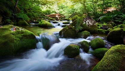 Obraz premium fresh mountain stream flowing over mossy rocks lush greenery surrounds the water