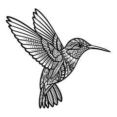 Intricate black and white hummingbird mandala design with detailed feather patterns silhouette