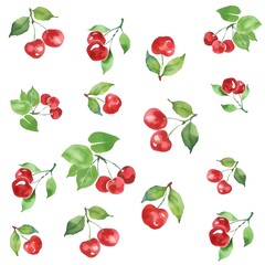 Cherry patterns with leaves 