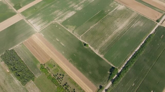 farmland in summer drought