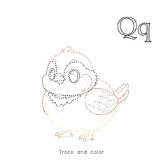 Cute quail trace and color worksheet for kids with letter Q. Educational alphabet activity page for preschool learning, tracing, and handwriting practice.