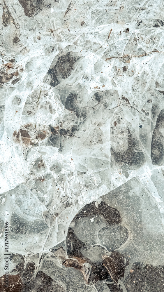 Poster textured ice surface with natural patterns and earthy elements creating a unique visual experience