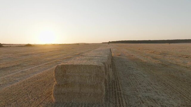 straw bales in the field
