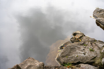 Stones lie at the tranquil edge of a pond, partially submerged in the water. The reflective water creates a meditative atmosphere.