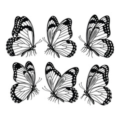 Six delicate butterfly line drawings with intricate wing patterns and detailed antennae silhouette