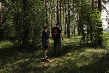Fototapeta premium Two people picking mushrooms in the forest, moving carefully through grass and shadows, concept of outdoor learning, seasonal foraging, and mindful nature time.