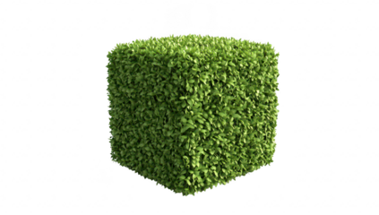 A green cube made of lush foliage. set against a clean white background. symbolizing nature and sustainability. ideal for environmental themes or landscaping concepts