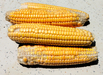 Close up shot of sweet corn.