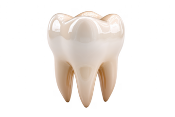 Realistic 3d render of a single healthy molar tooth isolated on a black background