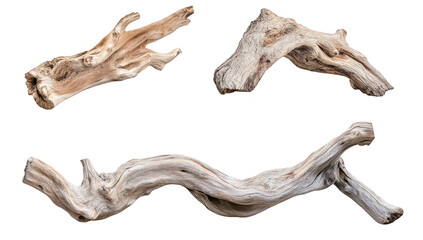 A collection of three uniquely shaped driftwood pieces their natural textures and colors. ideal for home decor or artistic displays. set against a clean white background
