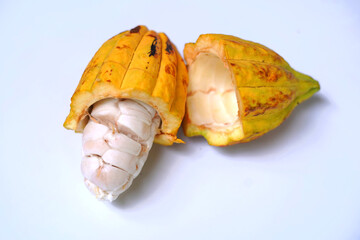 Fresh cocoa beans on white background
